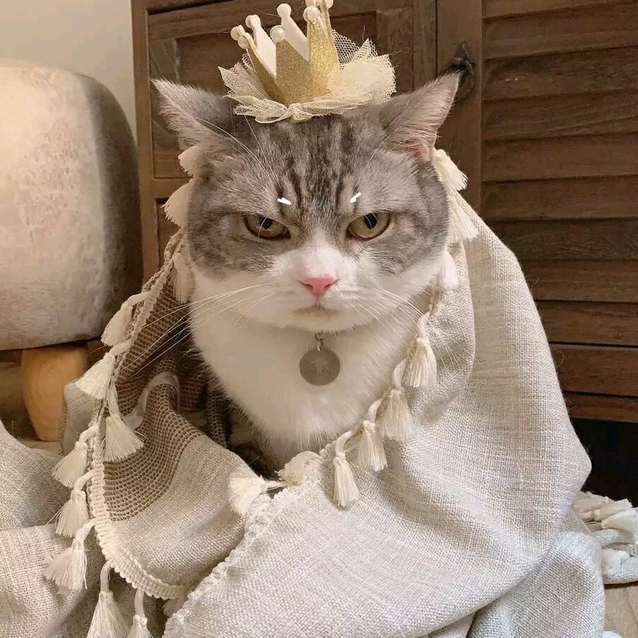 小果子美食@抖音