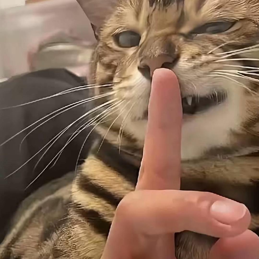 兰州房东直租