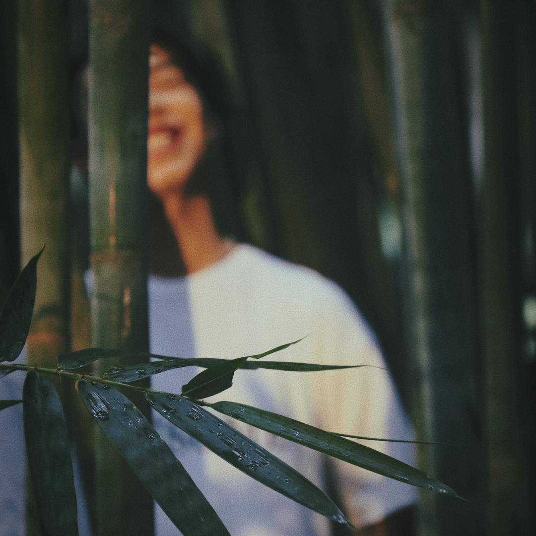 关门弟子🧑‍🎨