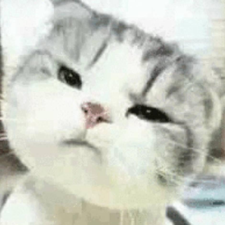hehe