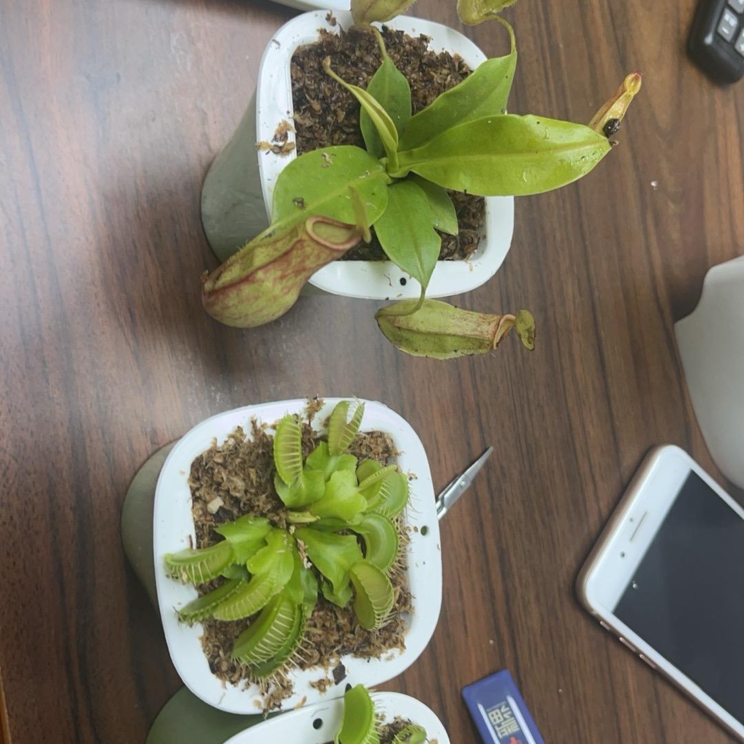 六零不算老
