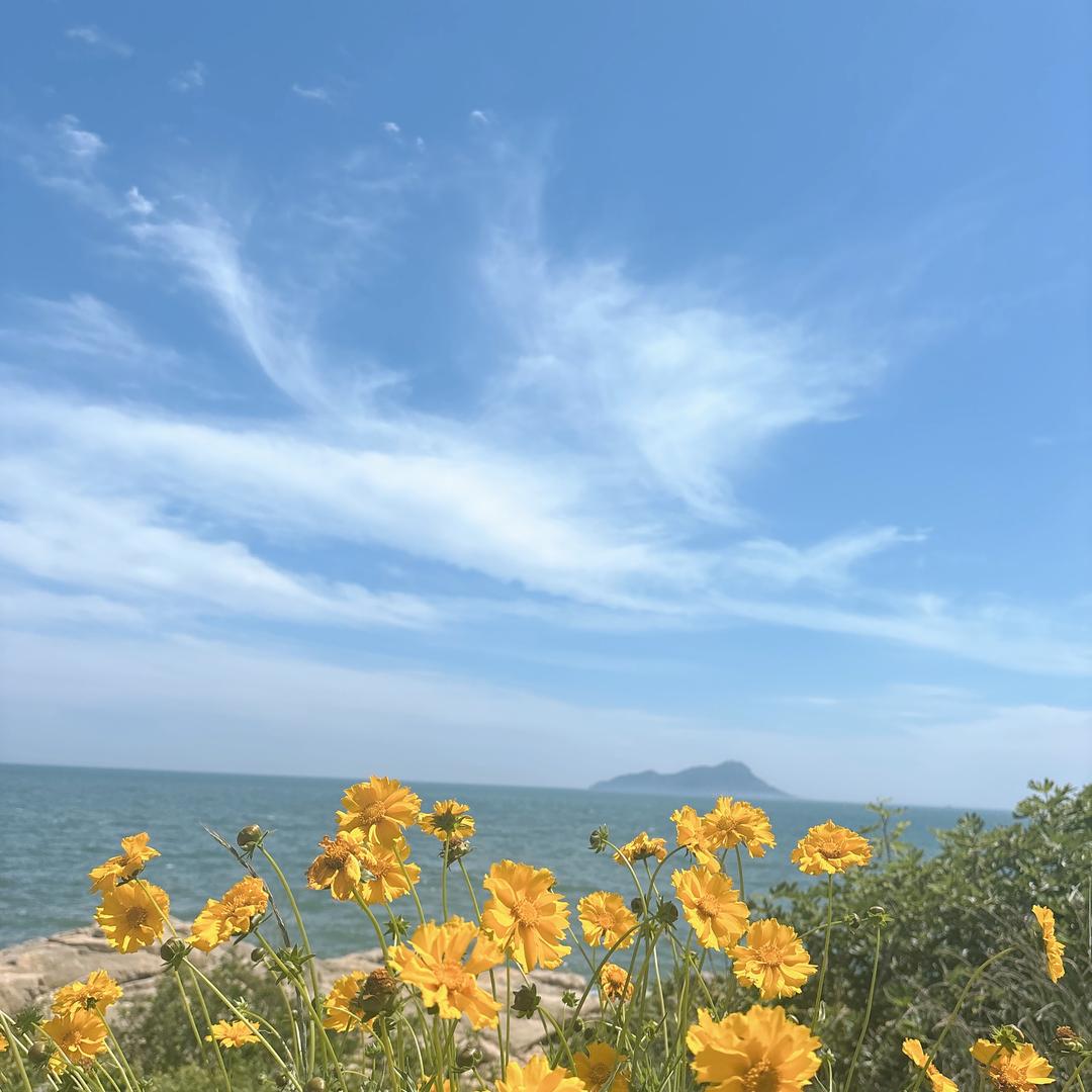 海风
