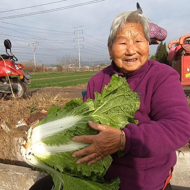 老奶奶的一天