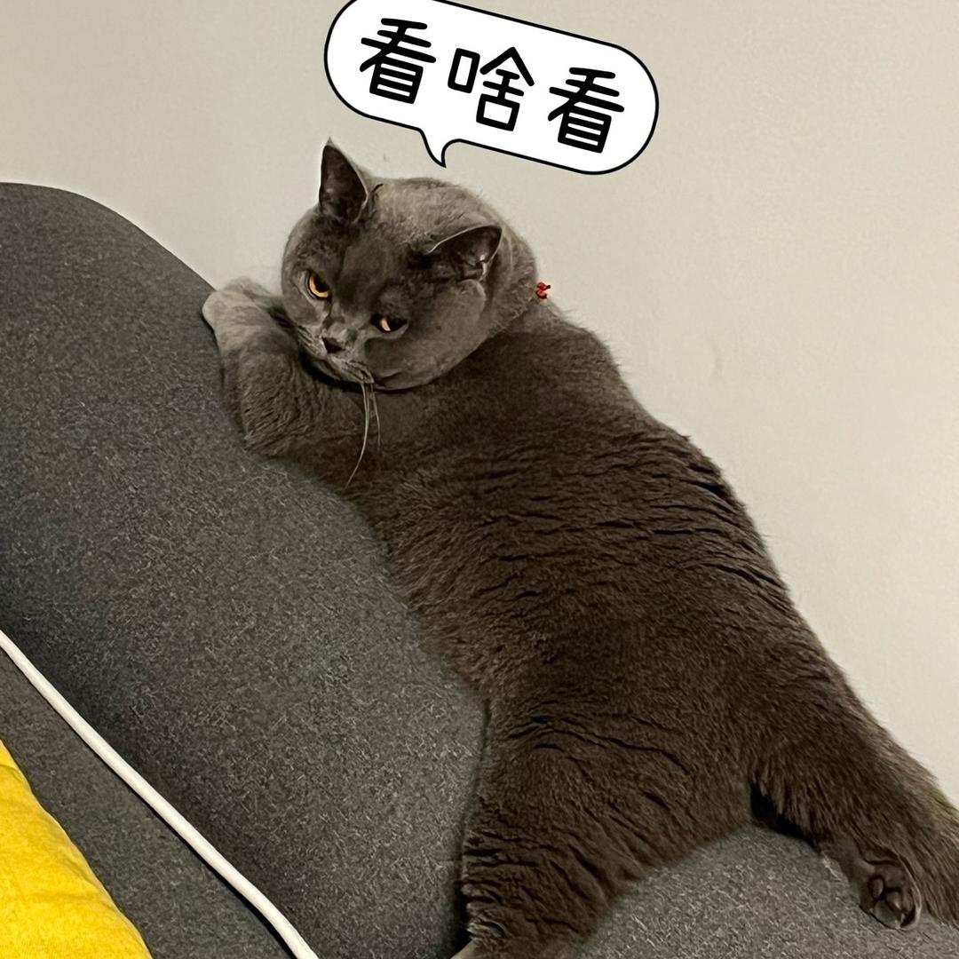最苦美式