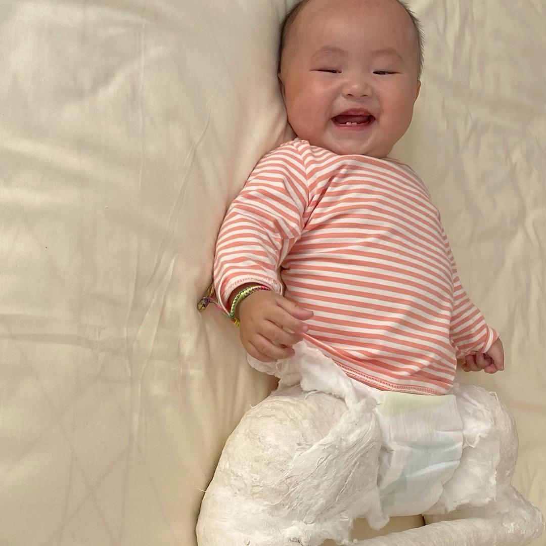 🐽猪八戒