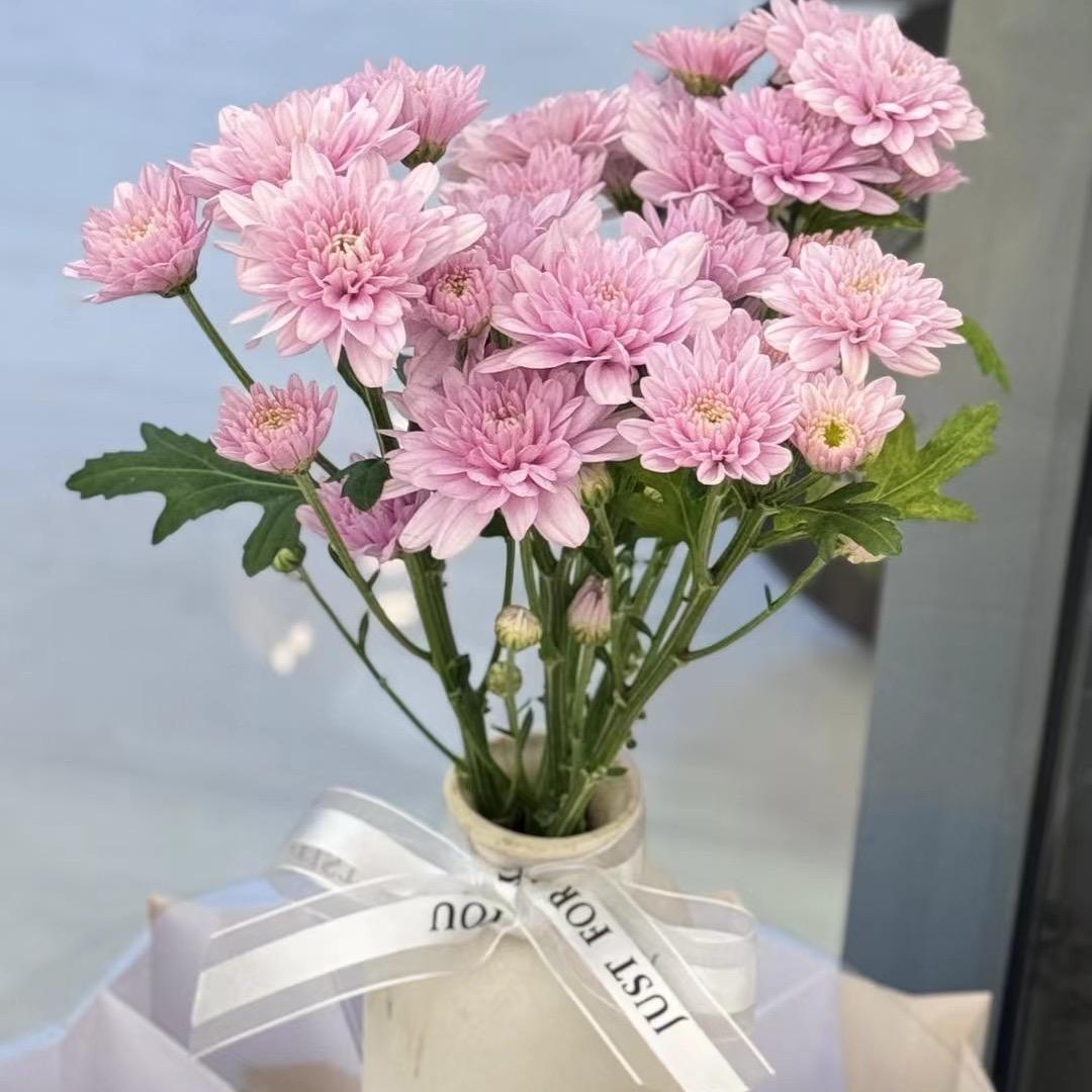 拥有回忆🌸🌸