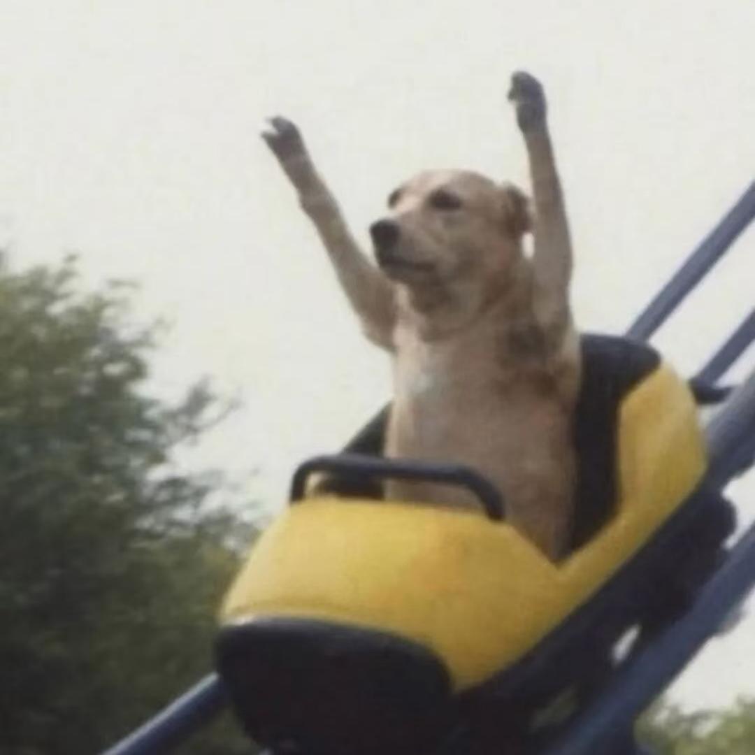 可以陪我吃宵夜吗