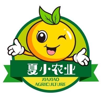 晓晓哥水果旗舰店