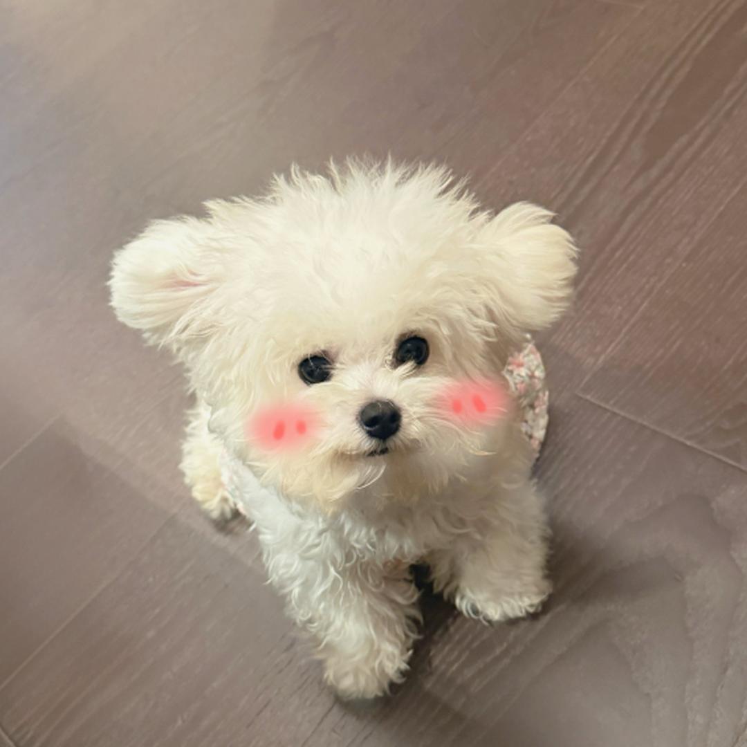 W _