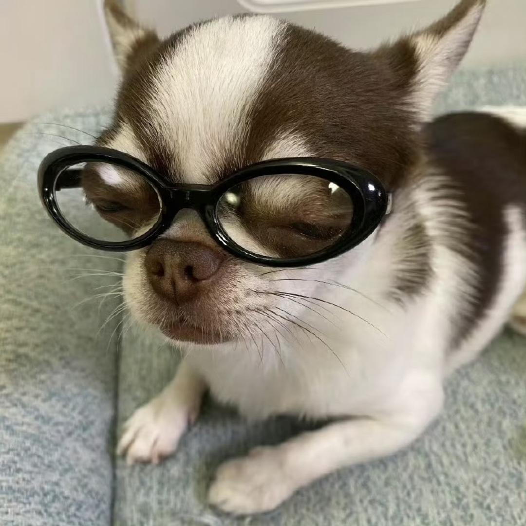 O o