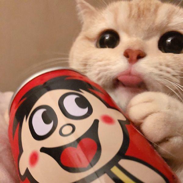 ʕ ᵔᴥᵔ ʔ小熊熊
