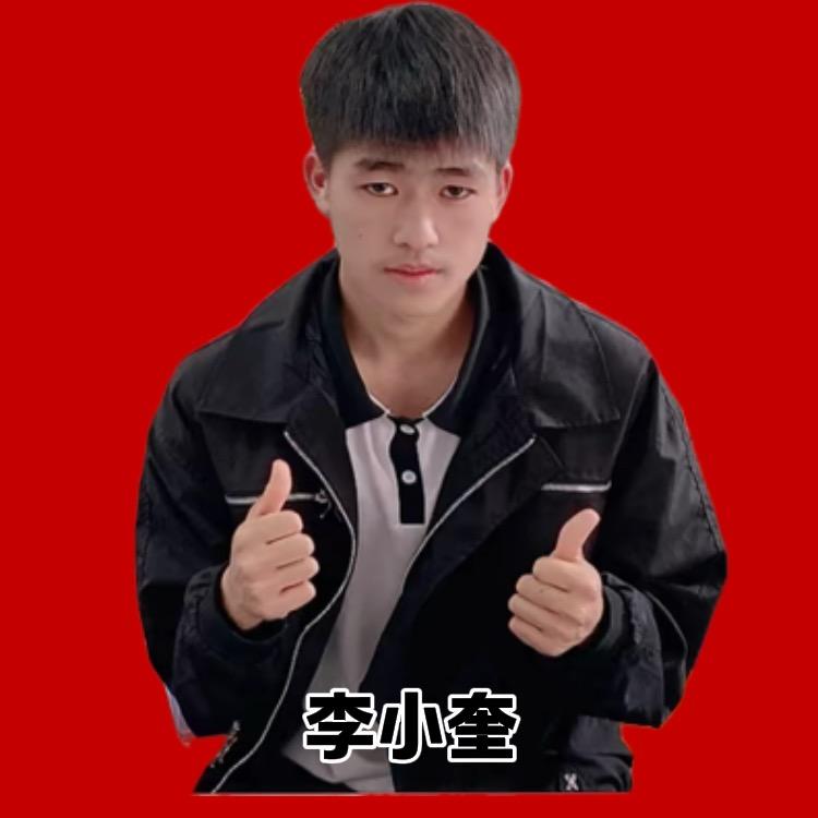 李小奎