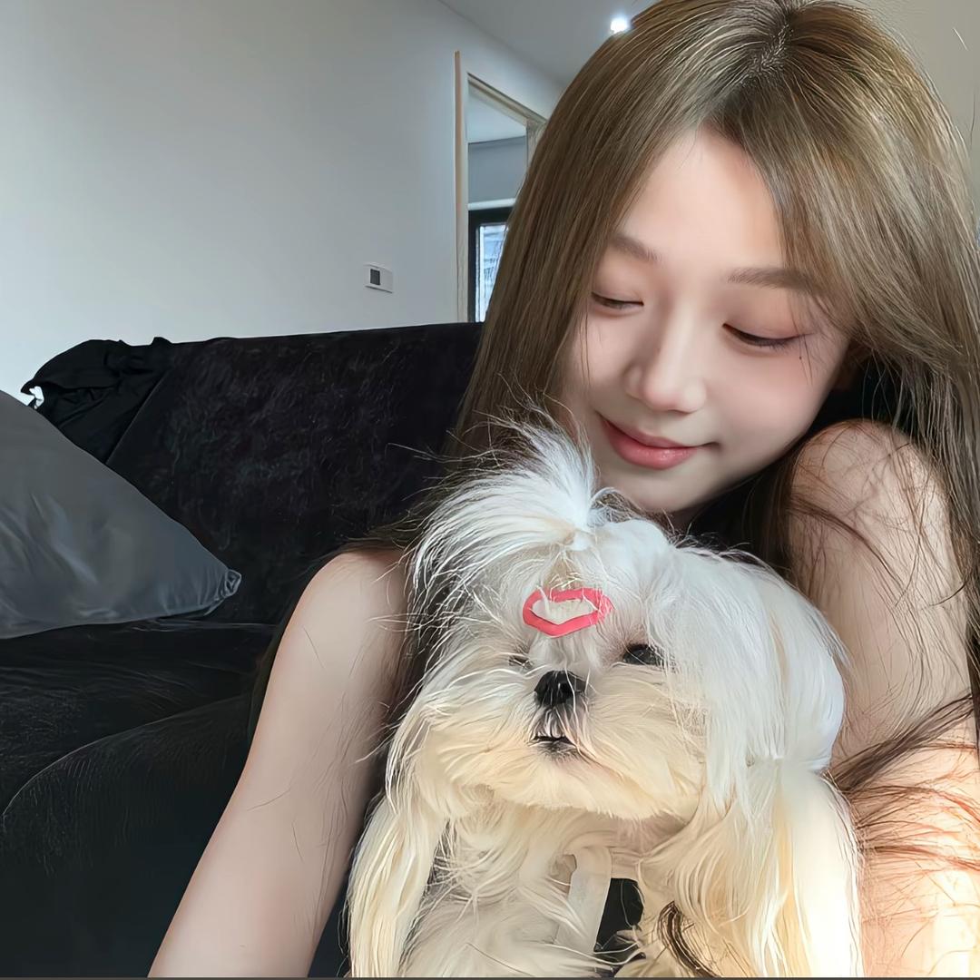 酥炸鱿鱼徐