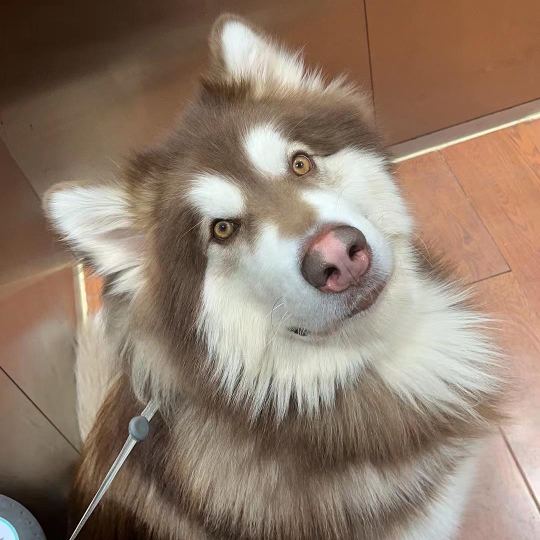 反方向的钟✨