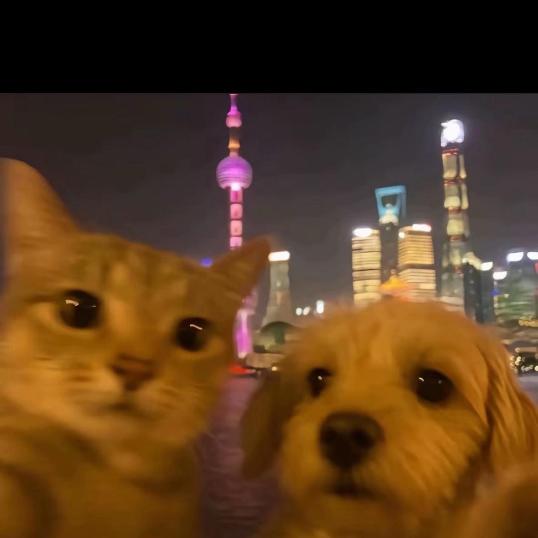 雾岛之樱