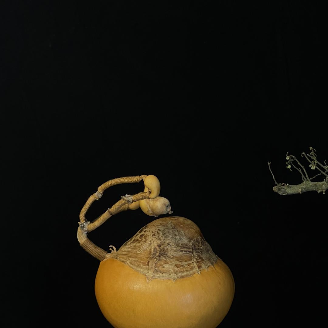 一把神器的葫芦臻品汇