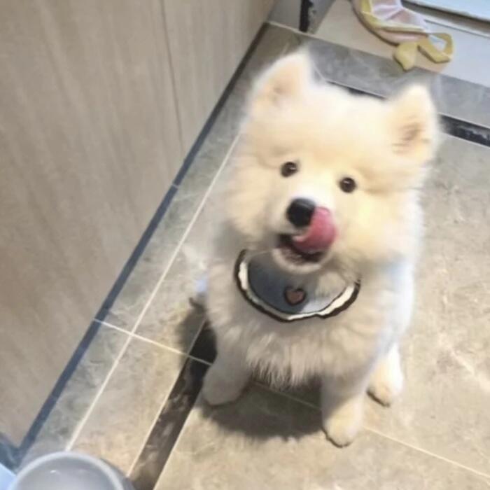 *用一颗钱钱果