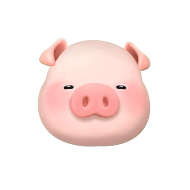 🐷😍😍🐷