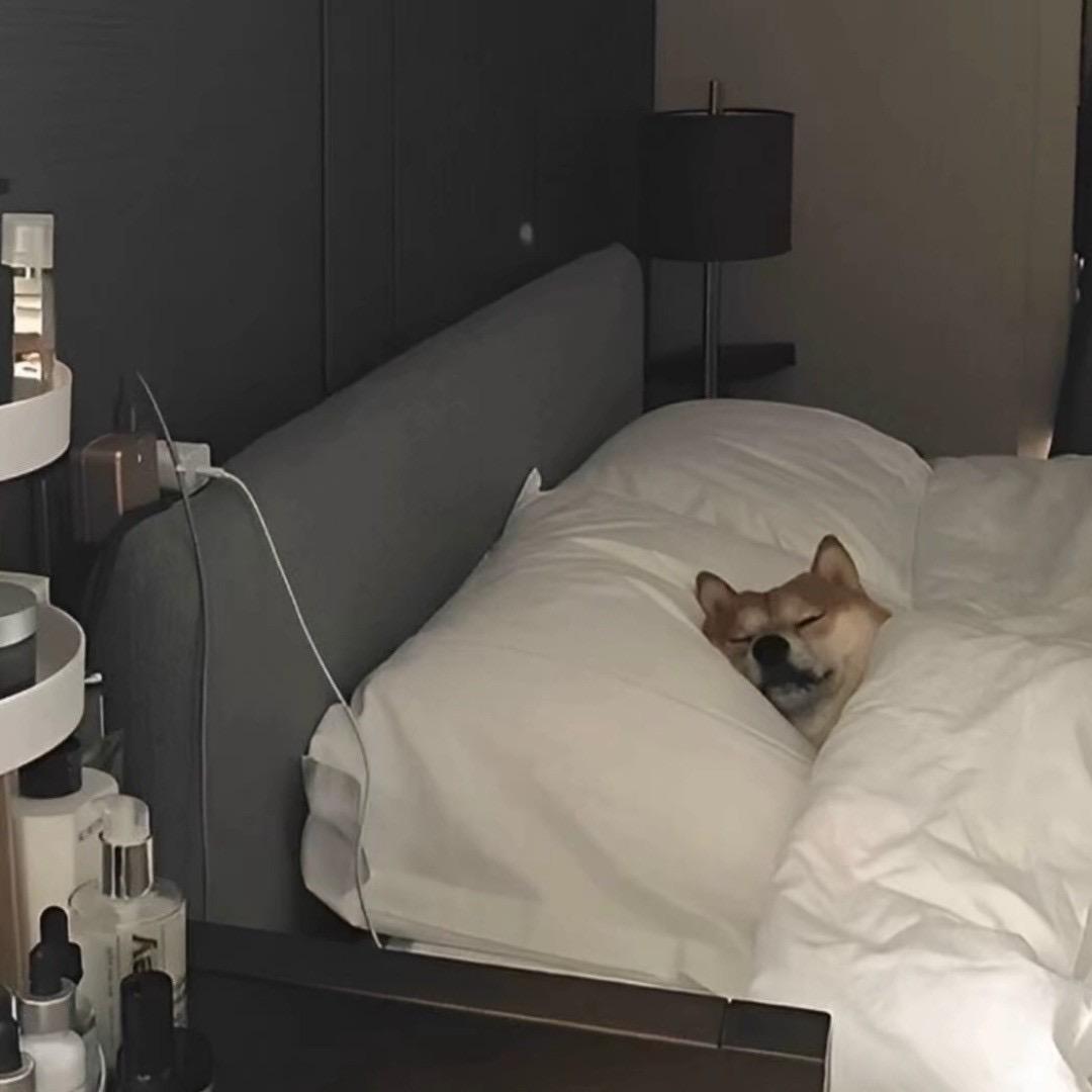 小吴爱吃鱼