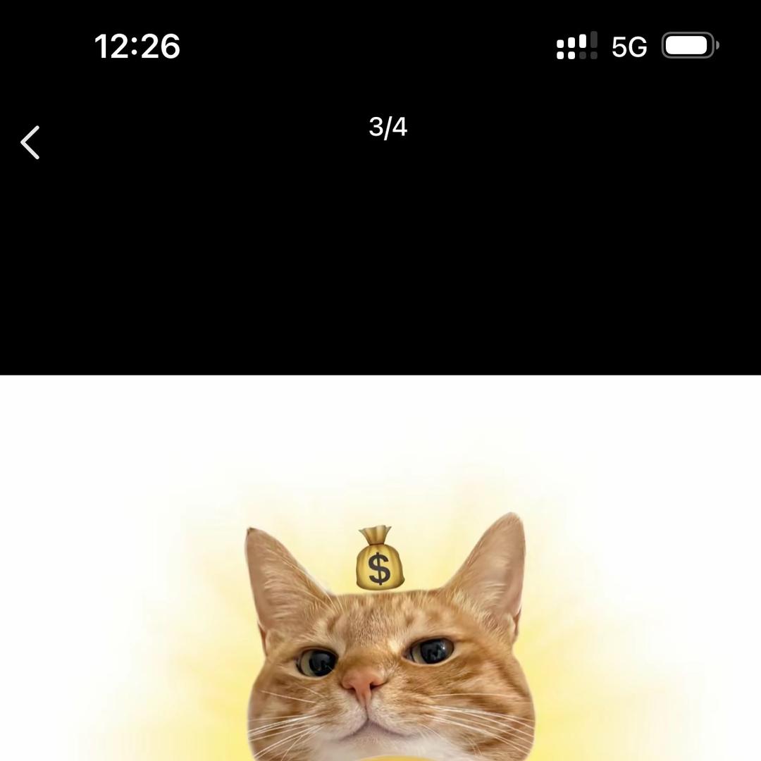 嘉嘉吖