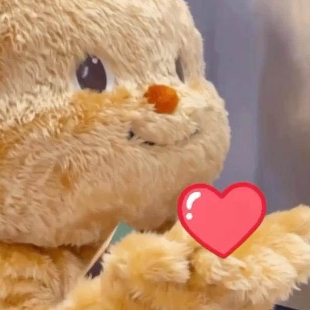 💕豆包包的日常