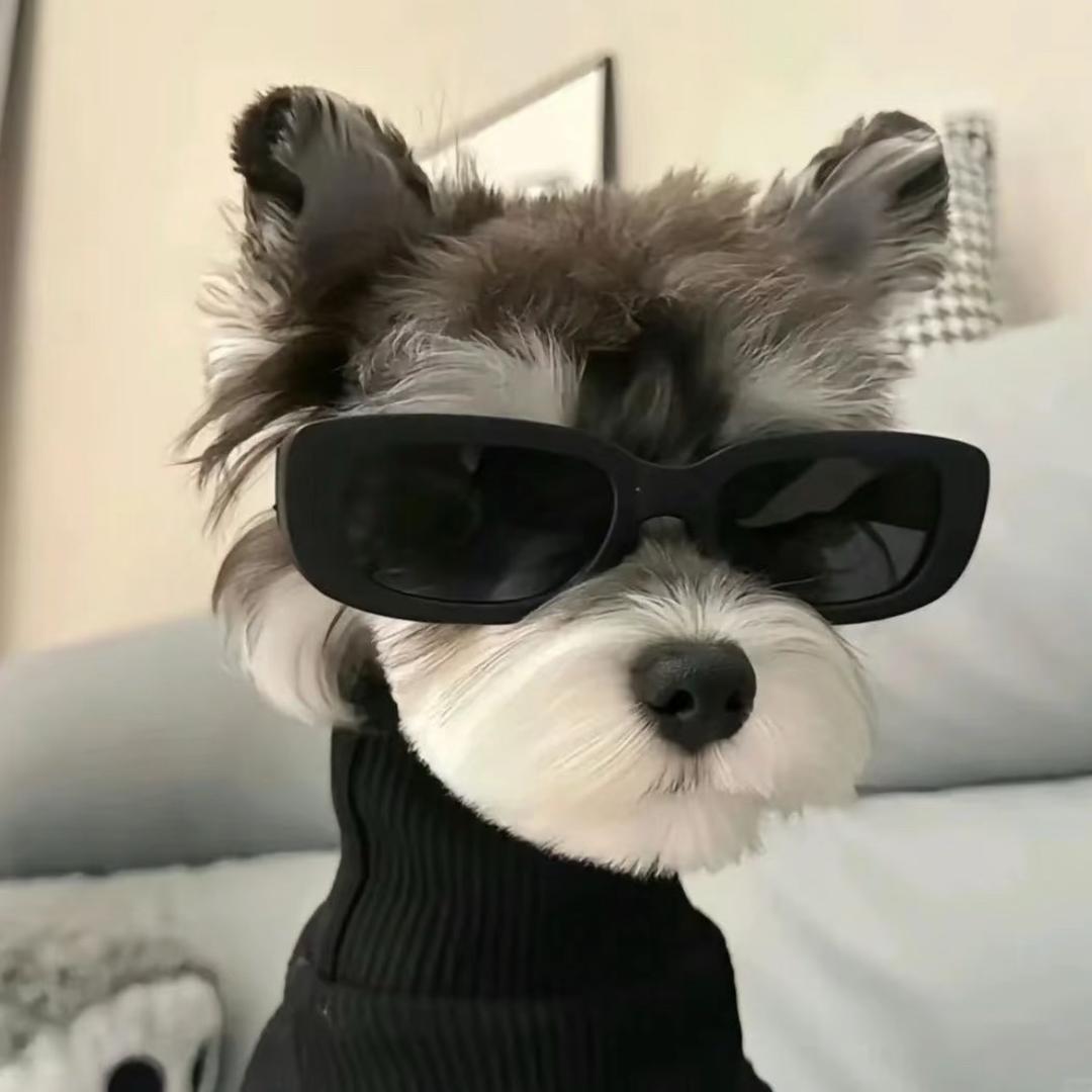 ð