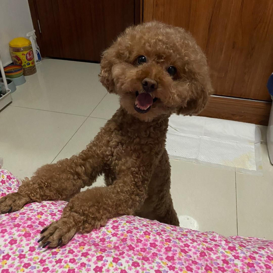 磊seemsoreal