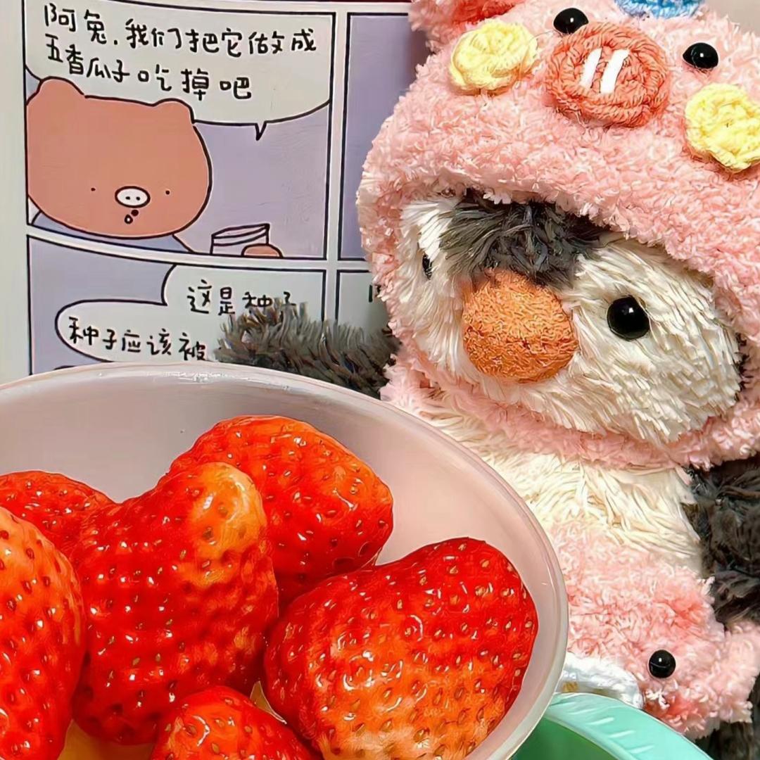 小熊行星￫ᴥ￩头像