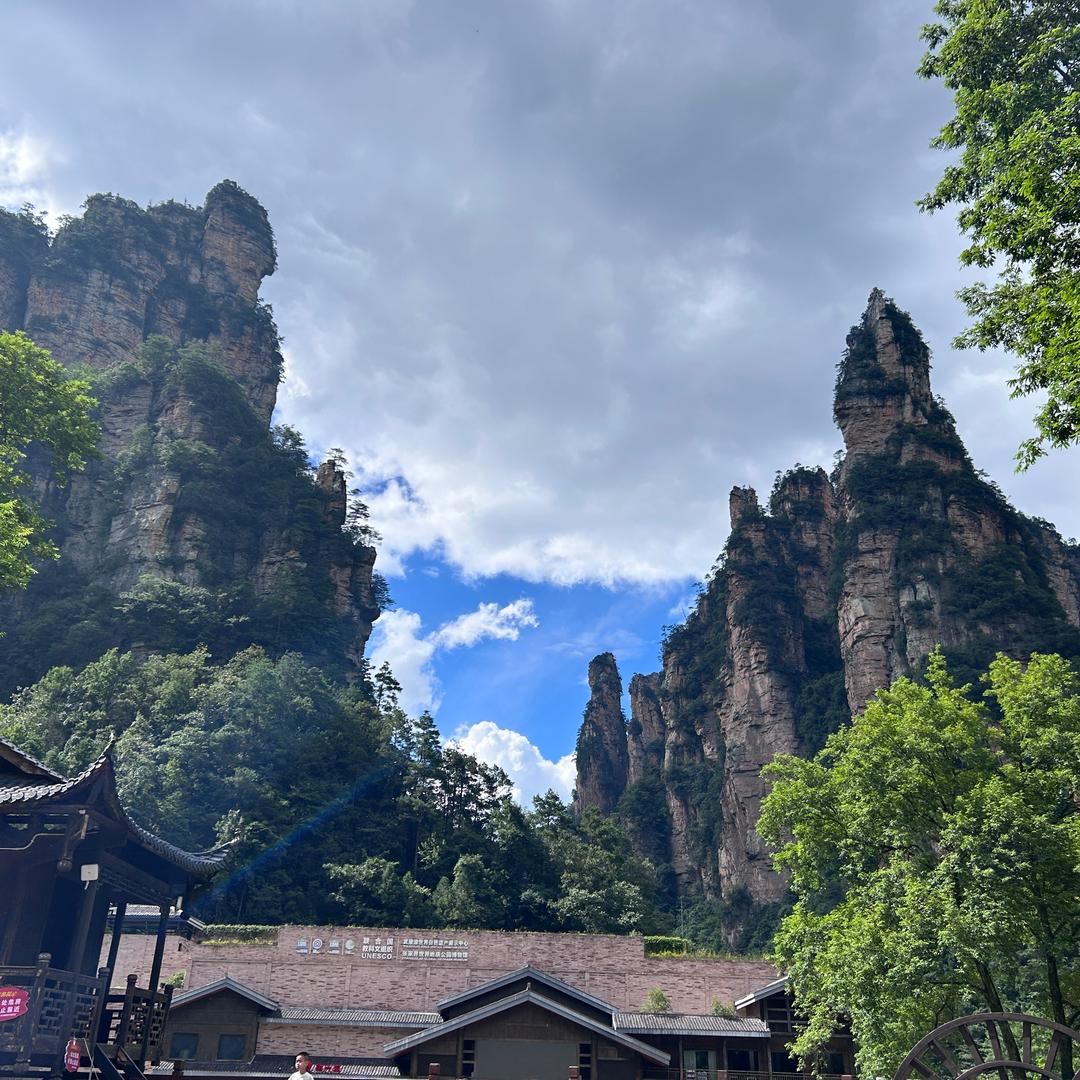 我的可爱分你一半