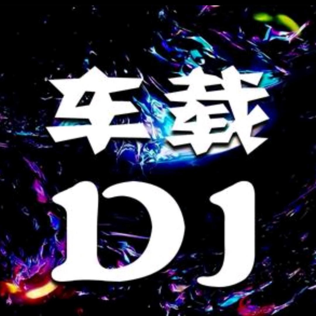（U盘店铺下单）车载DJmix音乐