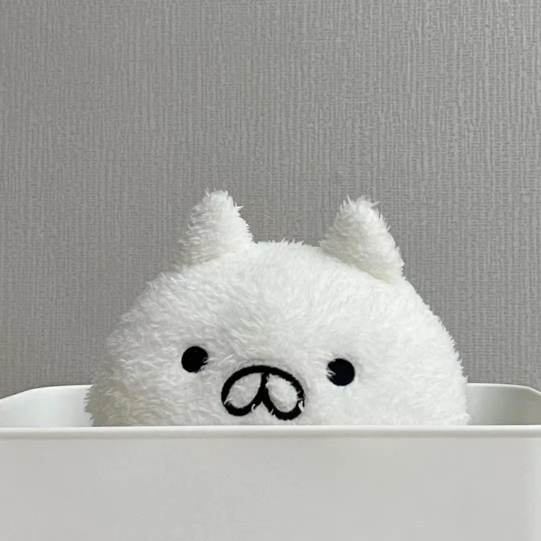 小鱼干🐟