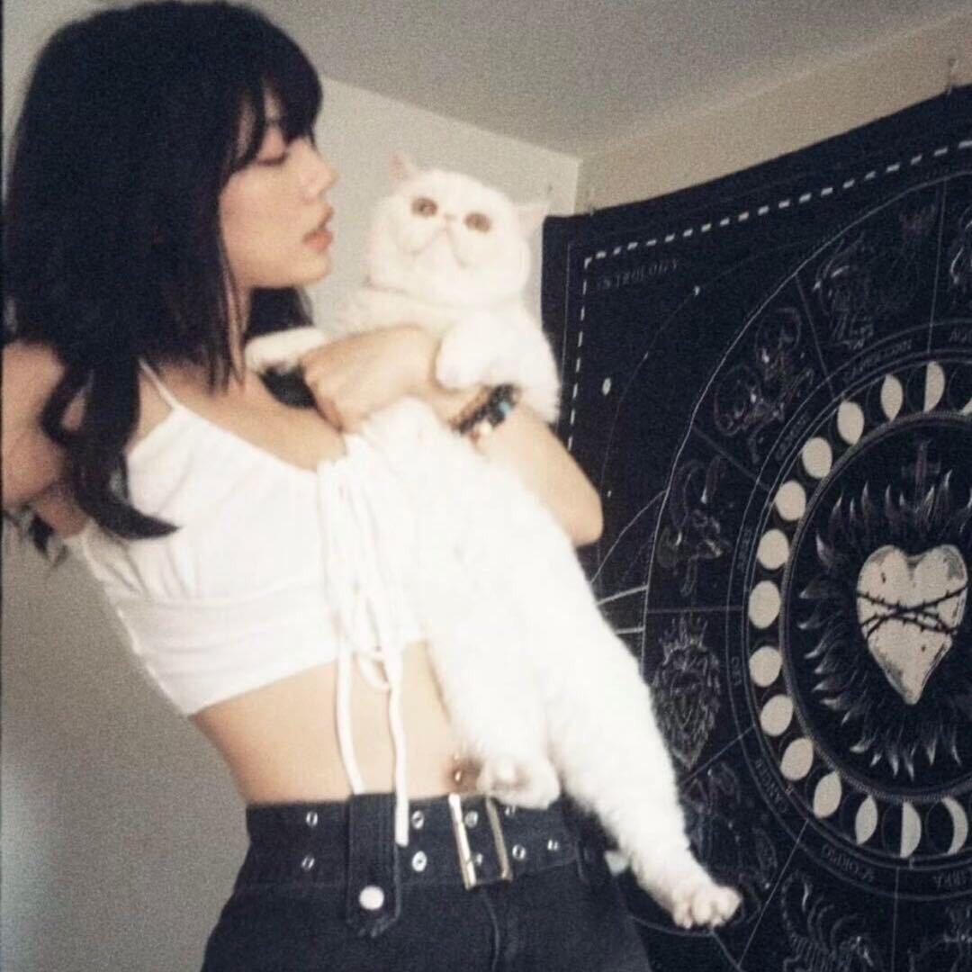 Ｒ
