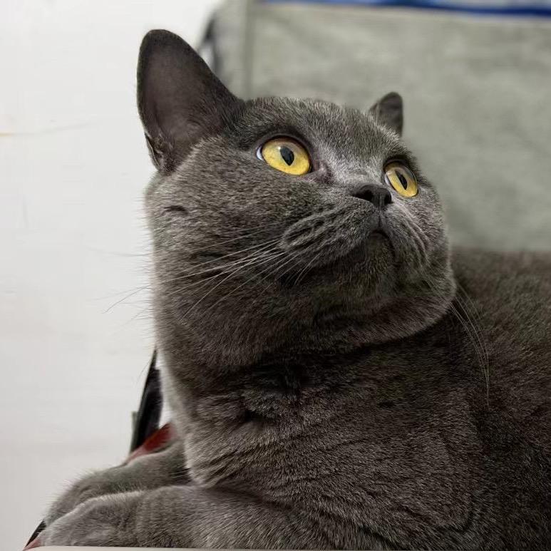 麻辣烫不要麻辣