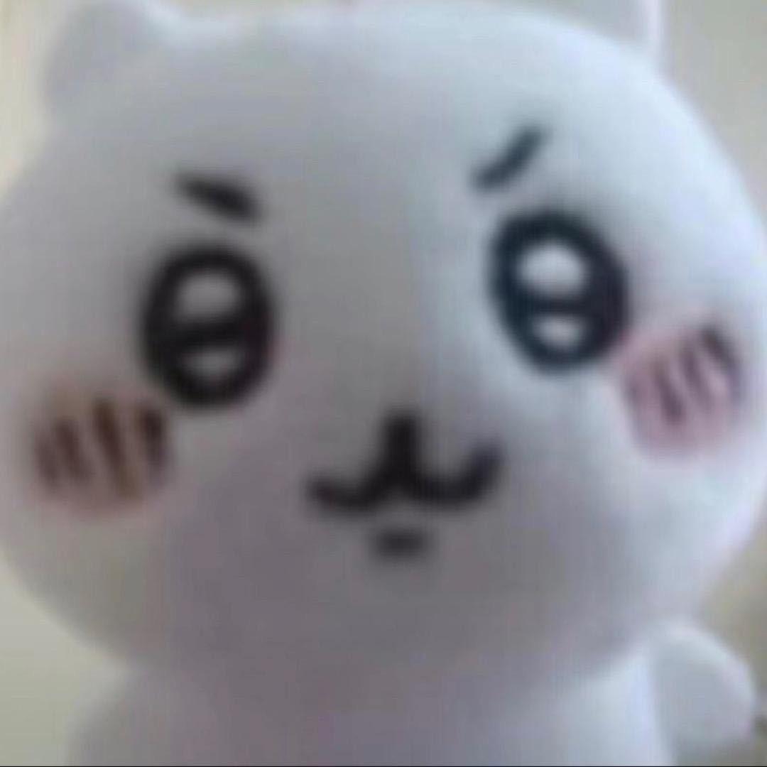 wEn7