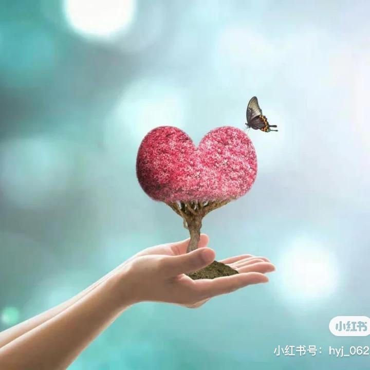 智慧