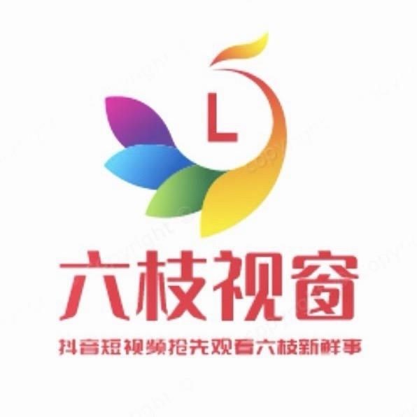 六枝视窗