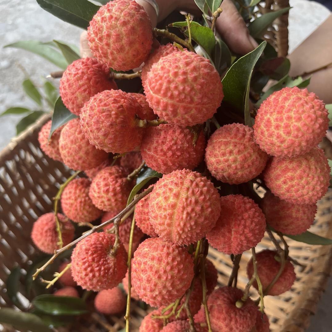 富桂味