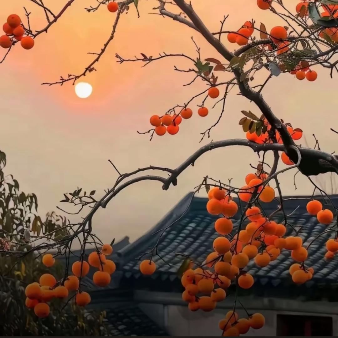 冷暖自渡
