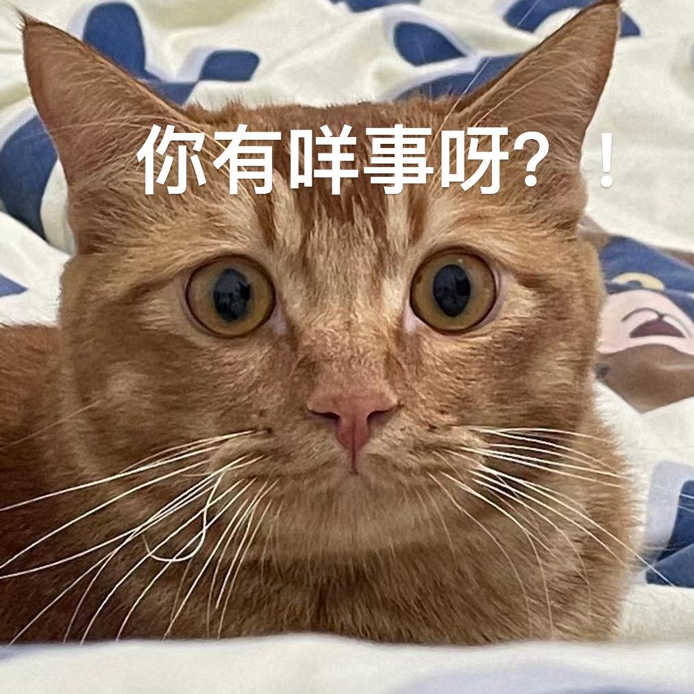 不吃香菜的戈戈