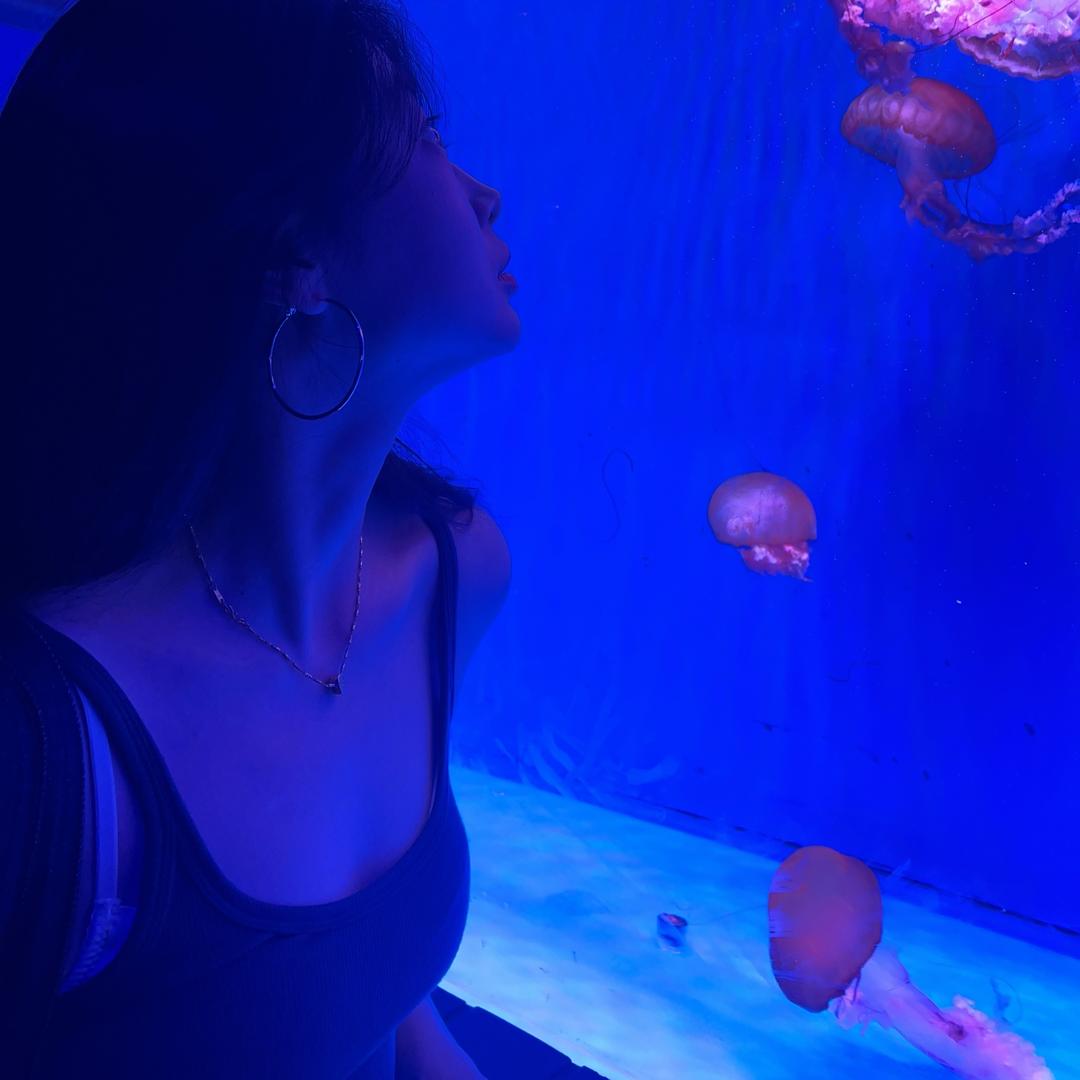 小柠檬🍋