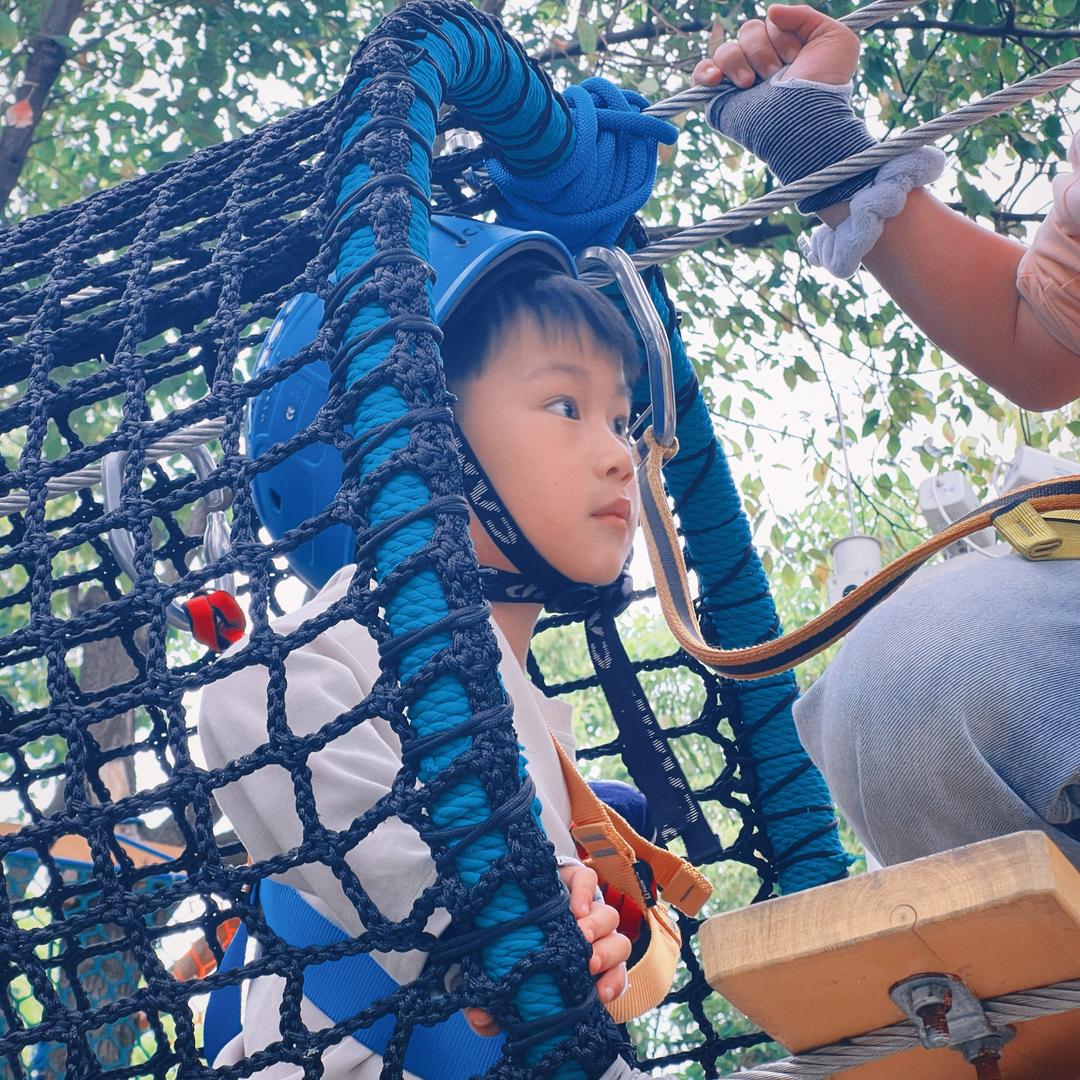 章姐姐的朋友圈