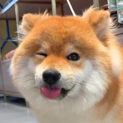 小恐龙说电影