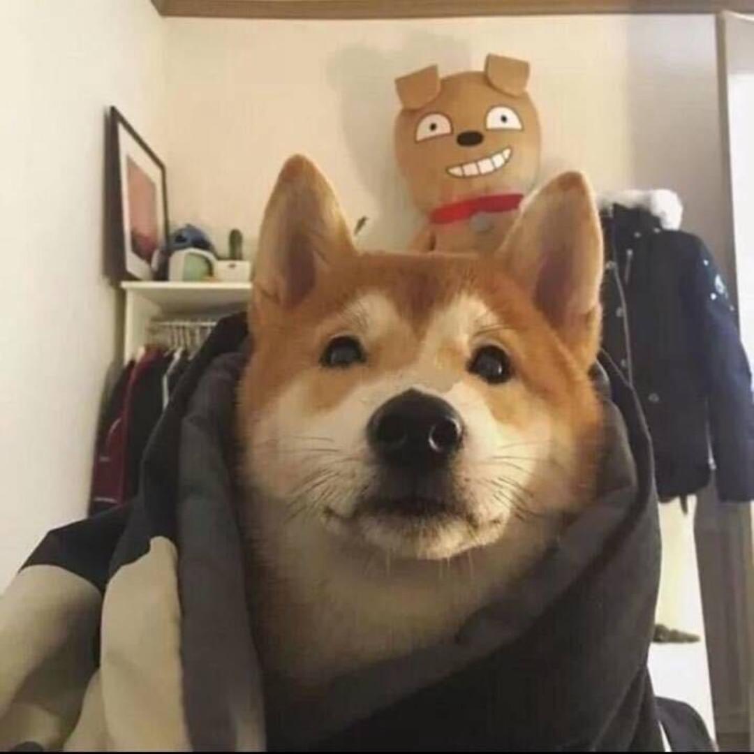 景清
