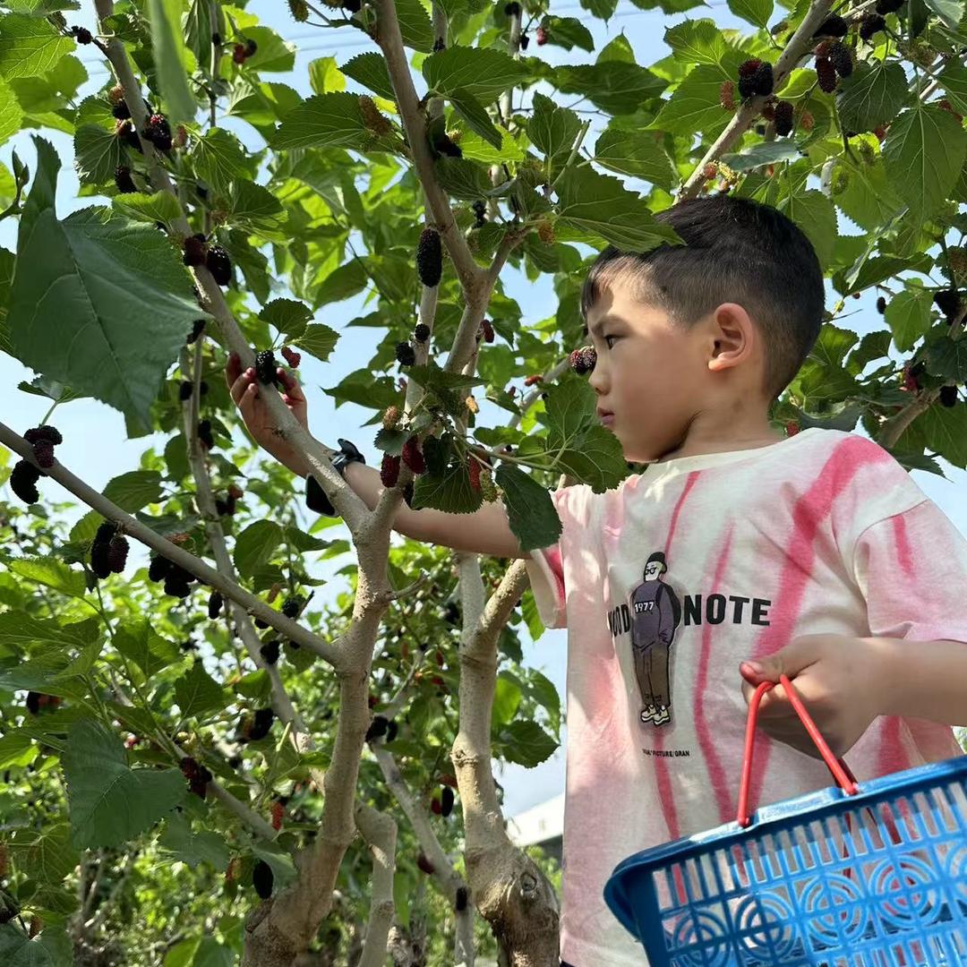 55岁的脑萎缩老姜（患病4年了）