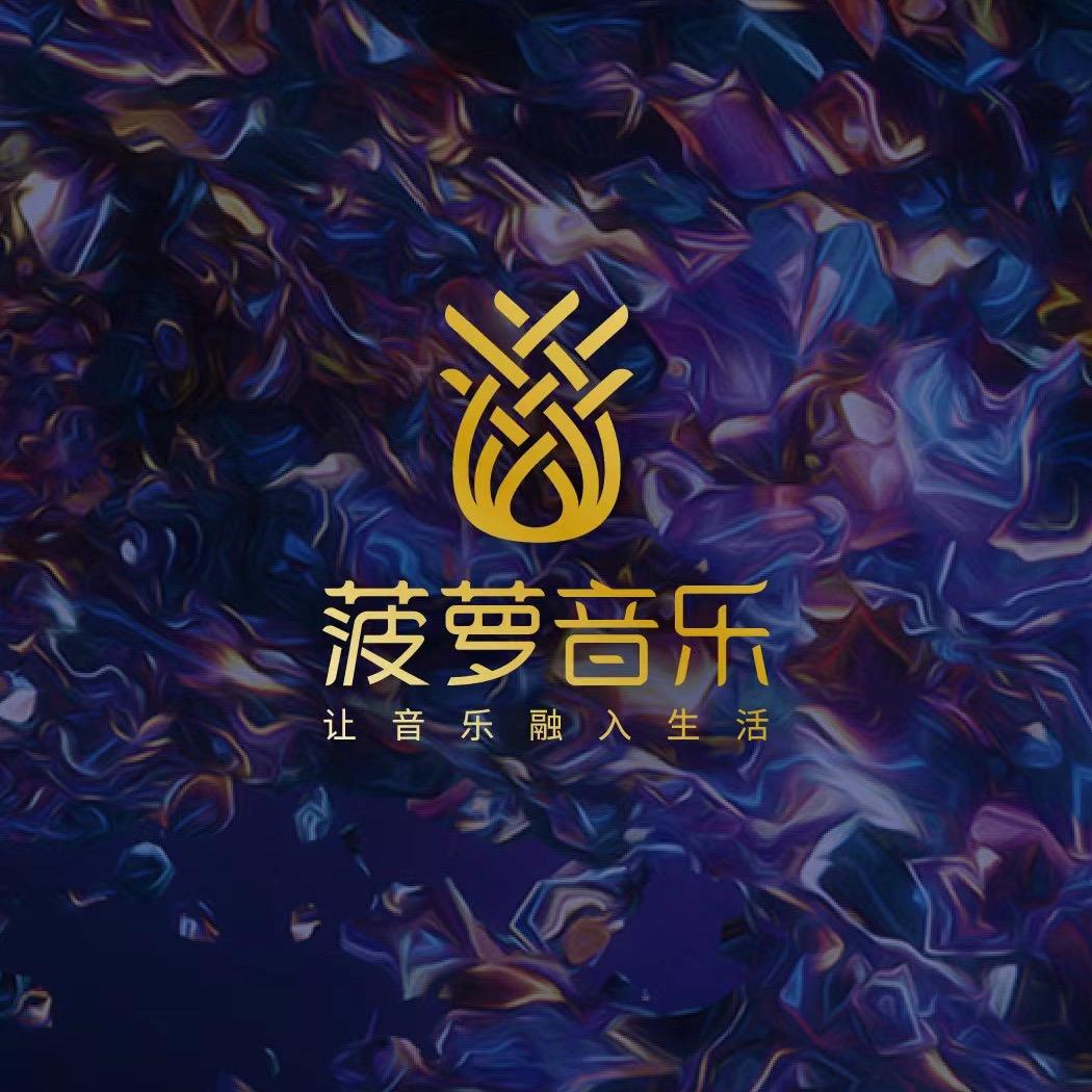 苏州菠萝琴行