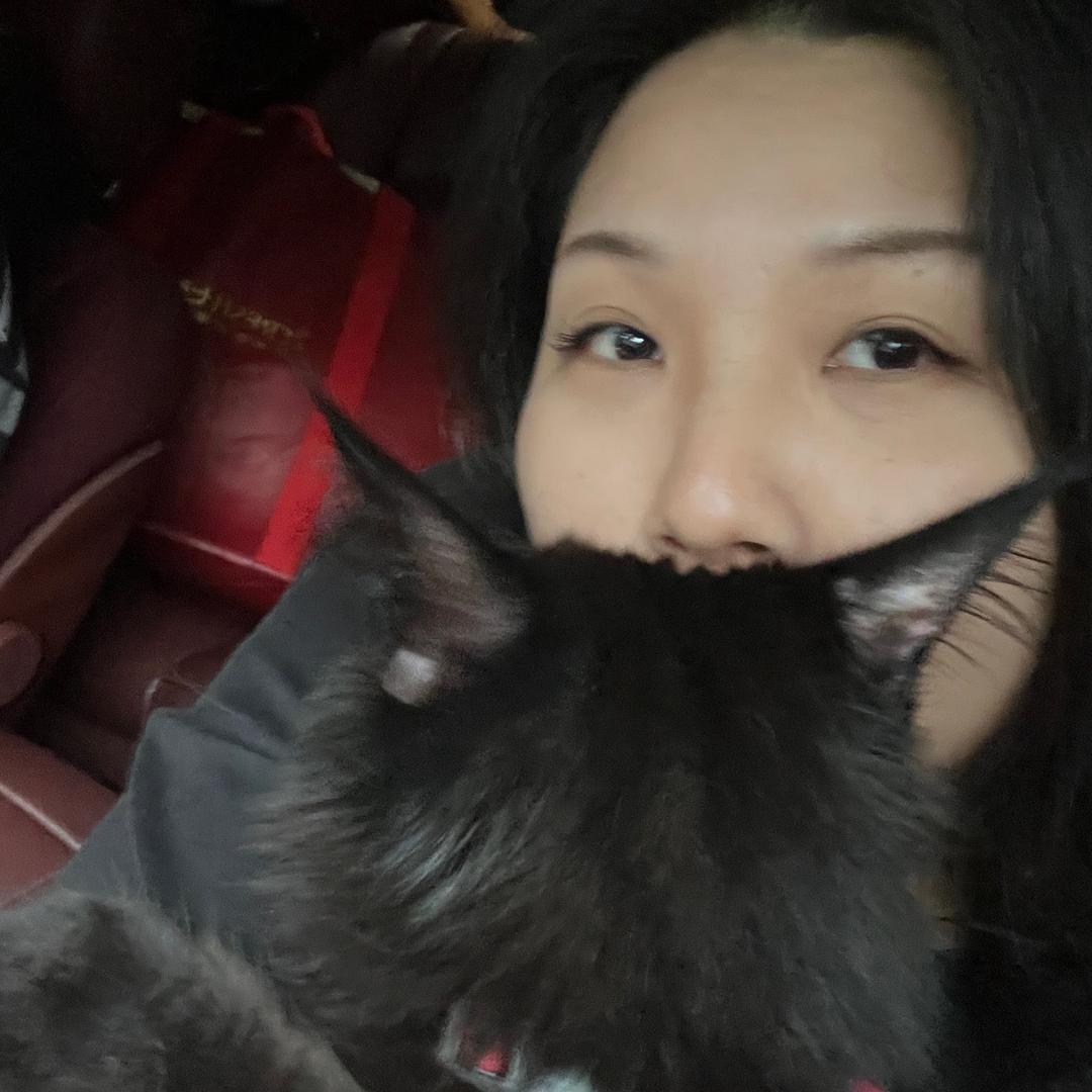 假牛奶真咖啡