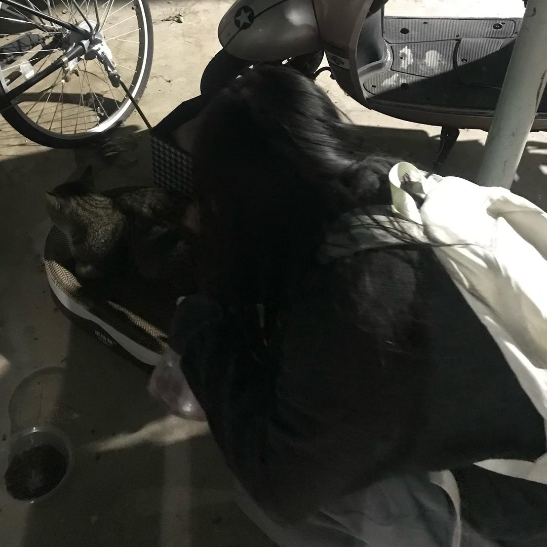 upupup（鱿鱼版）