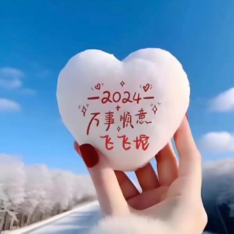 飞飞陀