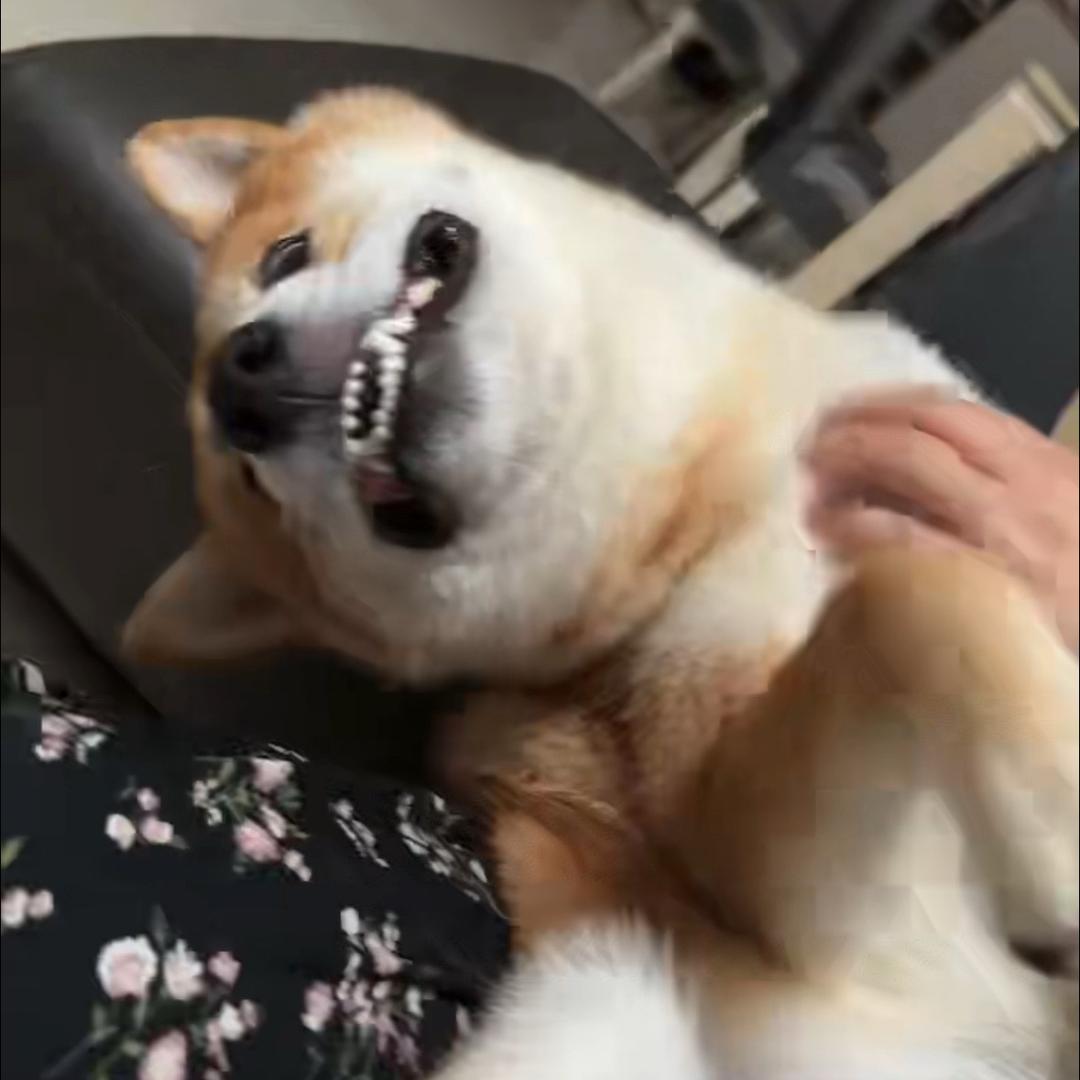 冰美式吧！