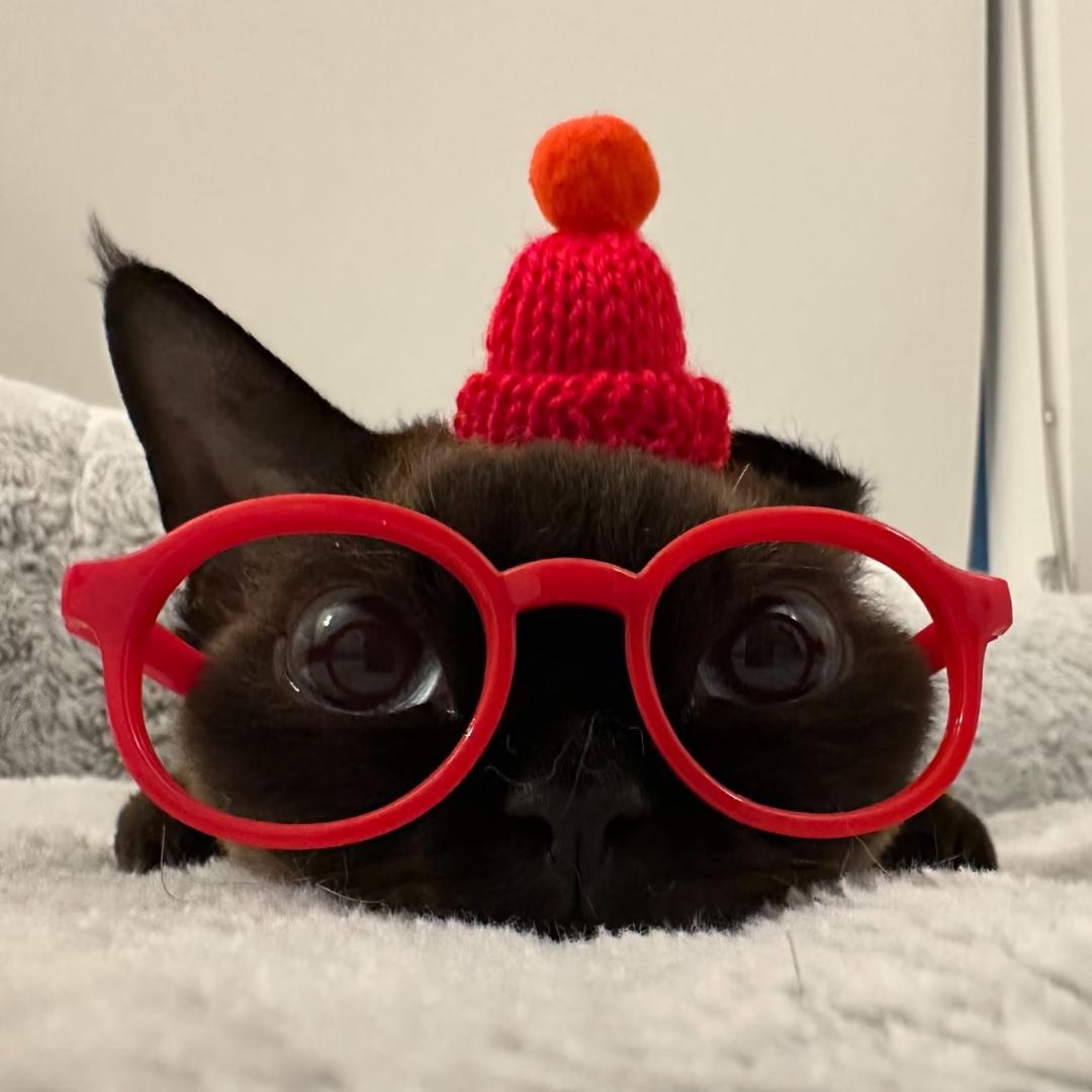 𝓴𝓲𝓼𝓶𝓮𝓽